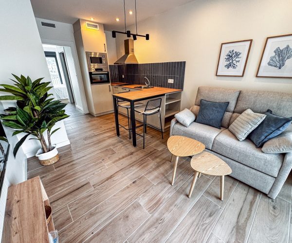 Apartamento o cansorriño 1